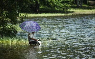 valeur du mois de janvier : être patiente