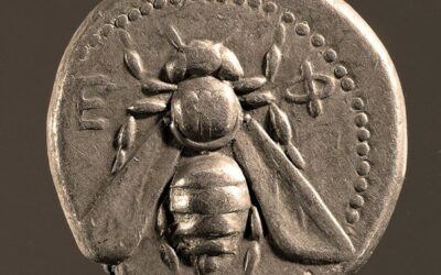 Lettre de rentrée : êtes-vous abeille ou araignée ?